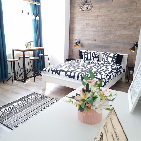 Central Park Studio Petrosani Ngoại thất bức ảnh
