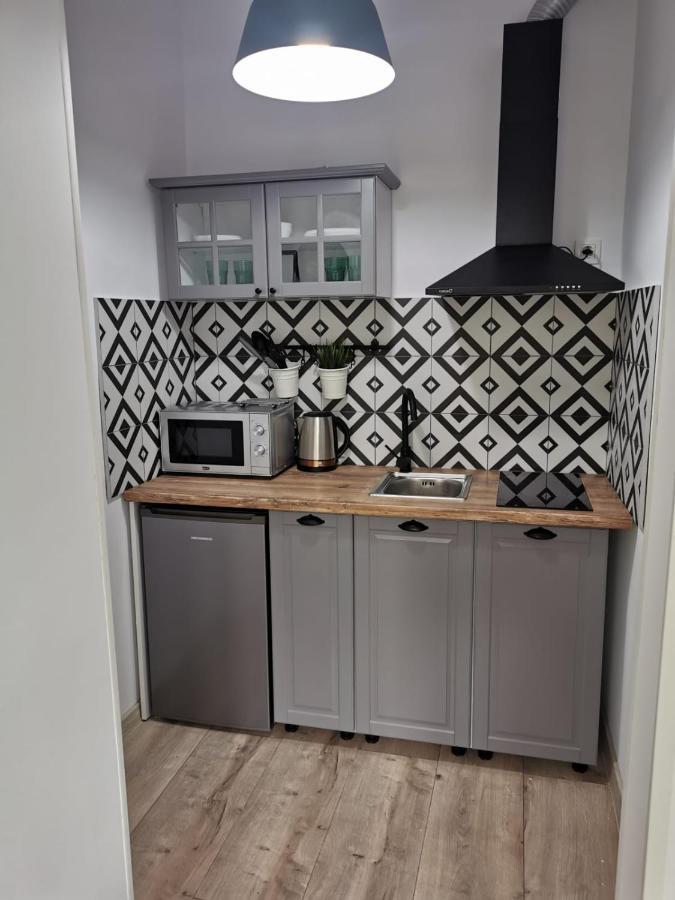 Central Park Studio Petrosani Ngoại thất bức ảnh
