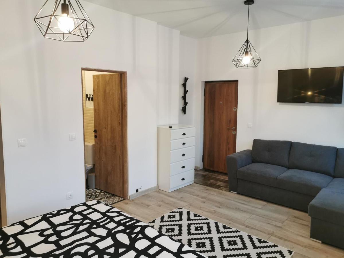 Central Park Studio Petrosani Ngoại thất bức ảnh